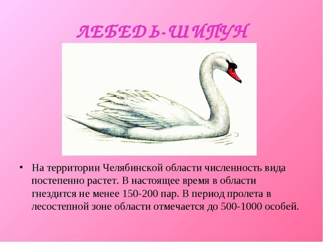 Презентация для дошкольников "Красная книга"