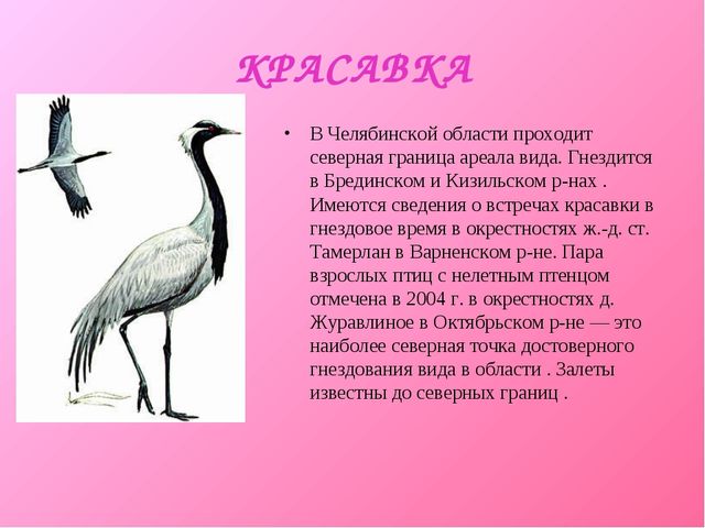 Презентация для дошкольников "Красная книга"
