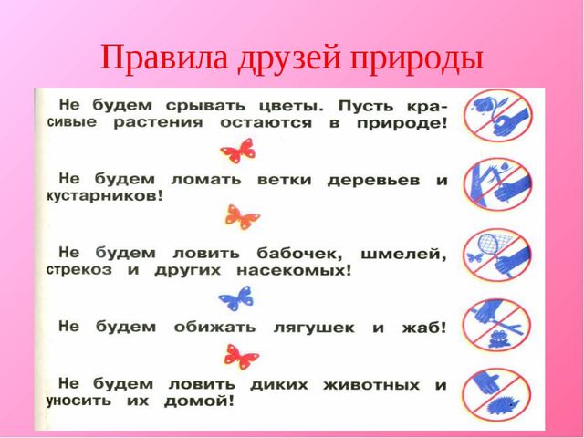 Презентация для дошкольников "Красная книга"