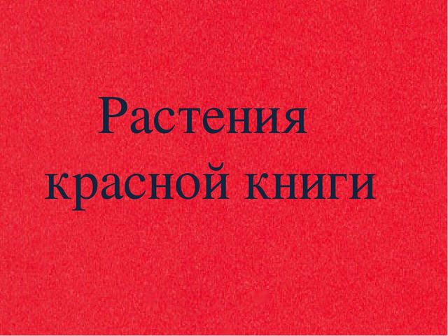 Презентация для дошкольников "Красная книга"