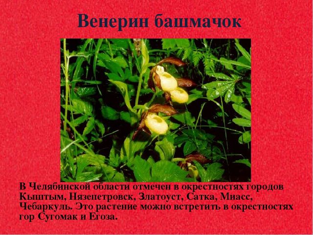 Презентация для дошкольников "Красная книга"