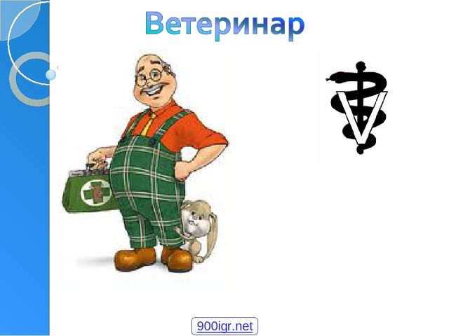 Профессия ветеринар игра для подготовительной группы