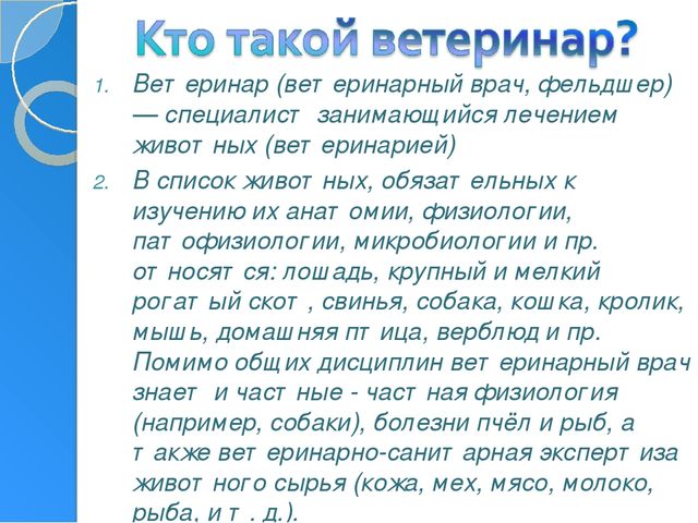 Профессия ветеринар игра для подготовительной группы