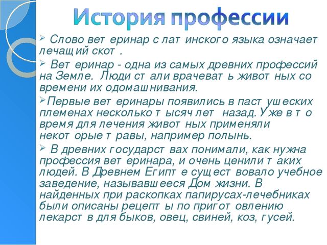Профессия ветеринар игра для подготовительной группы