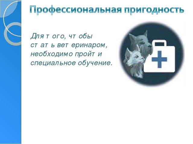 Профессия ветеринар игра для подготовительной группы