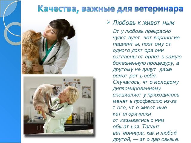 Профессия ветеринар игра для подготовительной группы
