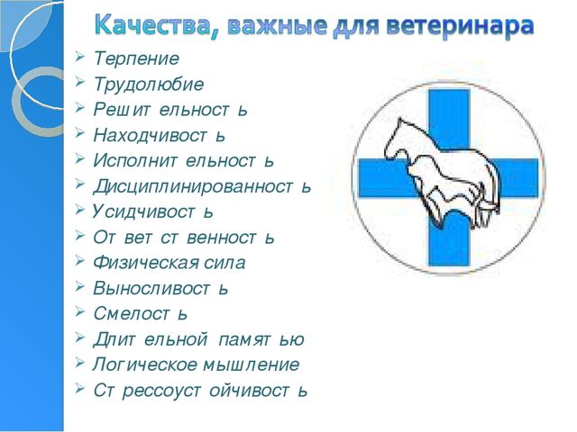 Профессия ветеринар игра для подготовительной группы