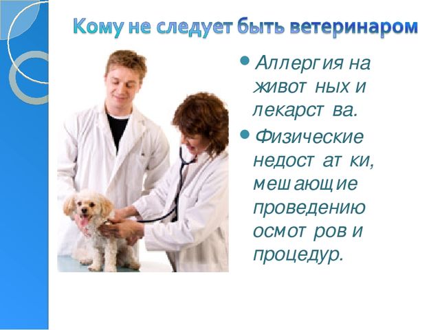 Профессия ветеринар игра для подготовительной группы