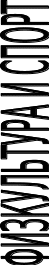 Shape1