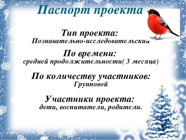 Экологический проект «Покормите птиц зимой!»
