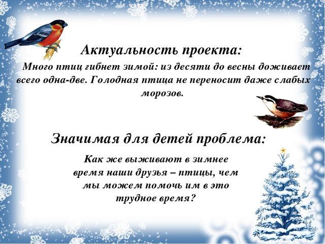 Экологический проект «Покормите птиц зимой!»