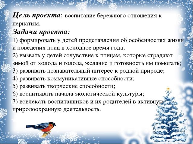 Экологический проект «Покормите птиц зимой!»