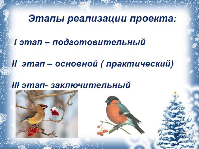 Экологический проект «Покормите птиц зимой!»