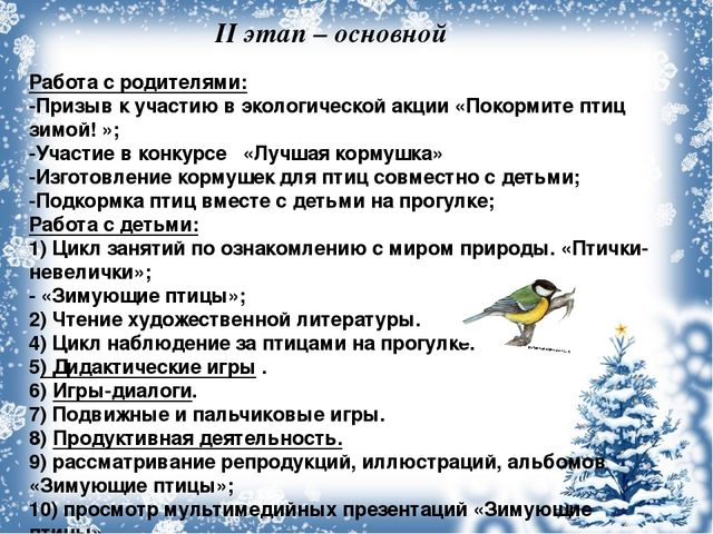 Экологический проект «Покормите птиц зимой!»