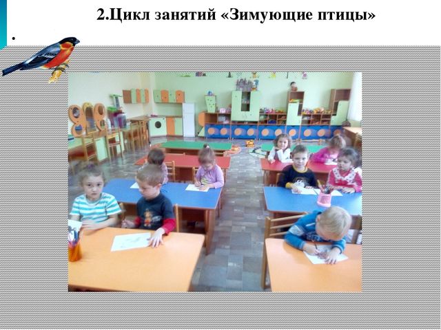 Экологический проект «Покормите птиц зимой!»