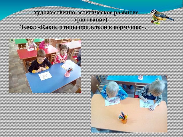 Экологический проект «Покормите птиц зимой!»