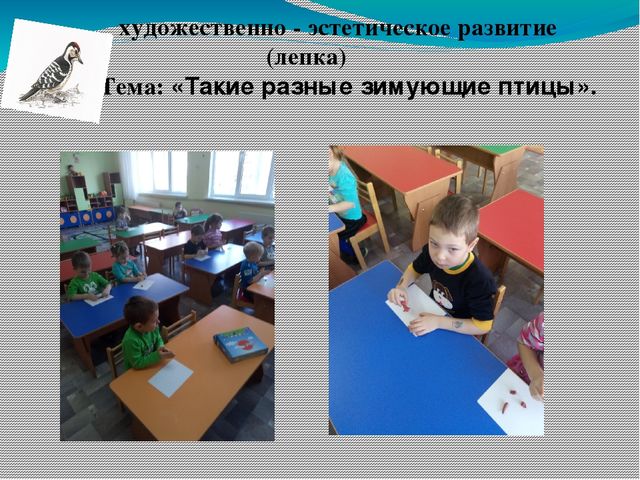 Экологический проект «Покормите птиц зимой!»