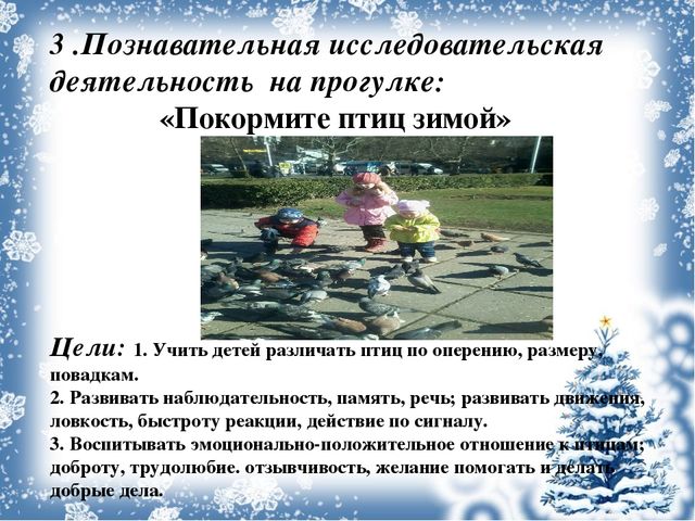 Экологический проект «Покормите птиц зимой!»