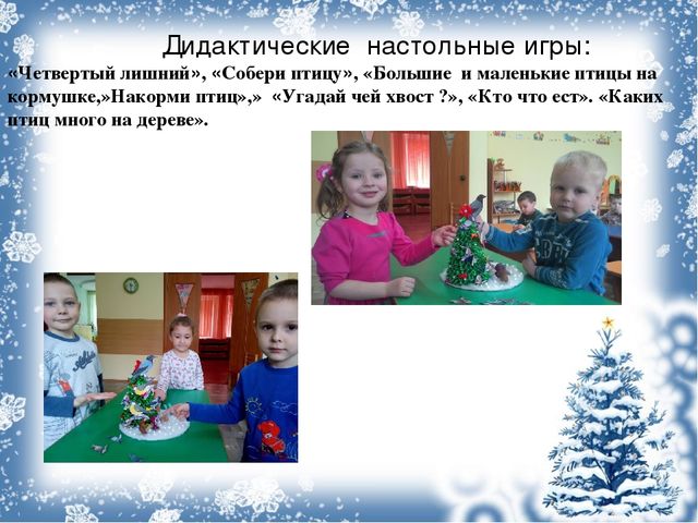 Экологический проект «Покормите птиц зимой!»