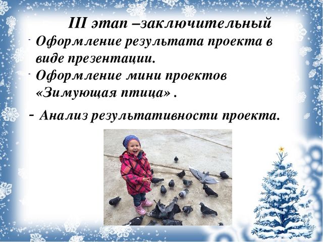 Экологический проект «Покормите птиц зимой!»