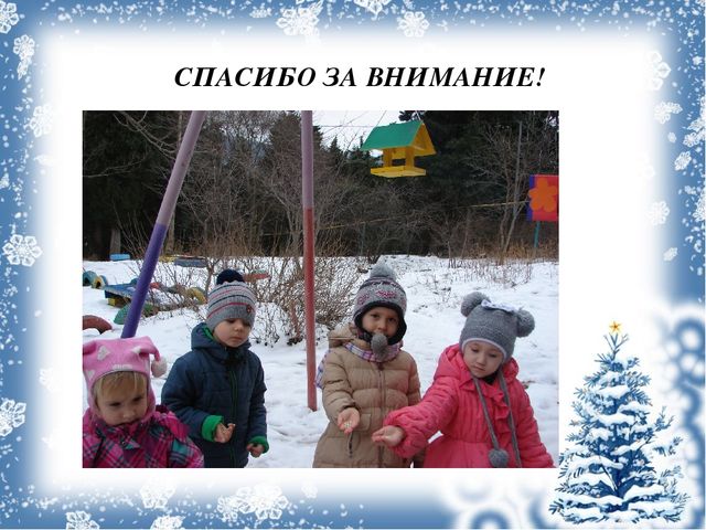 Экологический проект «Покормите птиц зимой!»