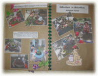 Picture 28