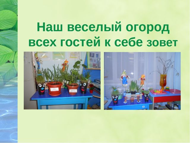 Презентация для дошкольников "Посадили огород, посмотрите, что растет"
