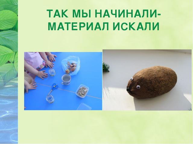 Презентация для дошкольников "Посадили огород, посмотрите, что растет"