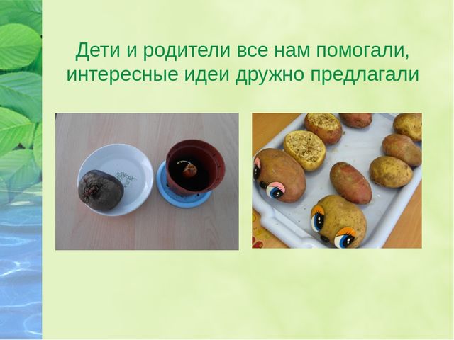 Презентация для дошкольников "Посадили огород, посмотрите, что растет"
