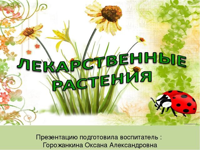 Презентация для дошкольников "Лекарственные растения"