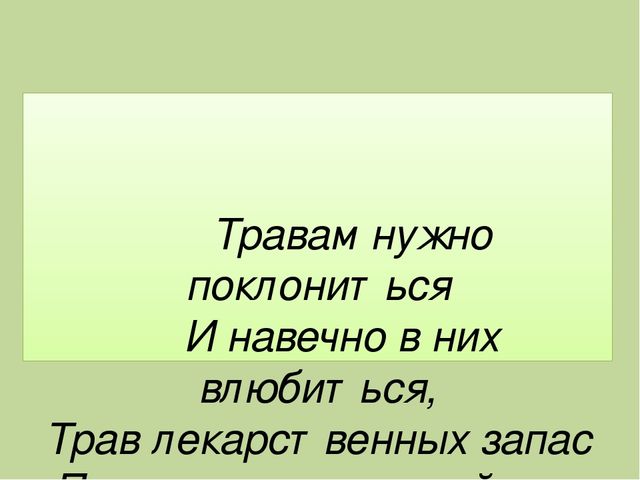 Презентация для дошкольников "Лекарственные растения"