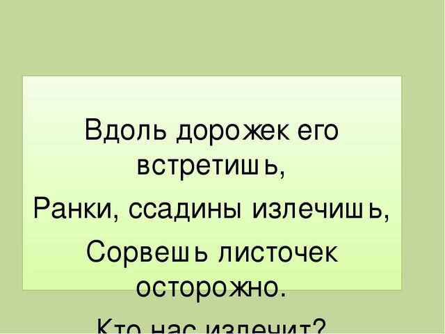 Презентация для дошкольников "Лекарственные растения"