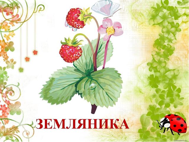Презентация для дошкольников "Лекарственные растения"