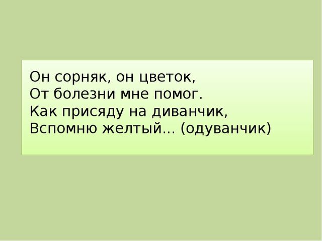 Презентация для дошкольников "Лекарственные растения"