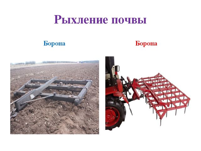 Презентация по дошкольному образованию на тему "Откуда хлеб пришел"