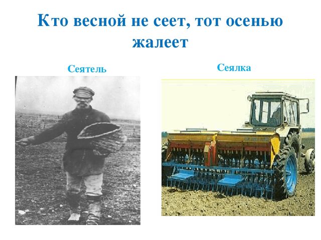 Презентация по дошкольному образованию на тему "Откуда хлеб пришел"