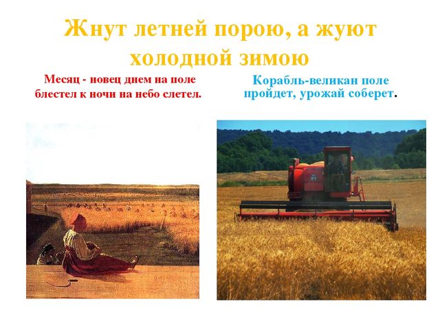 Презентация по дошкольному образованию на тему "Откуда хлеб пришел"