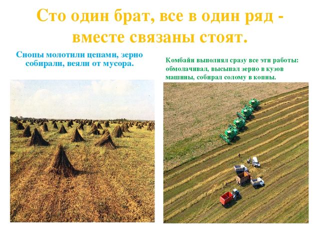 Презентация по дошкольному образованию на тему "Откуда хлеб пришел"