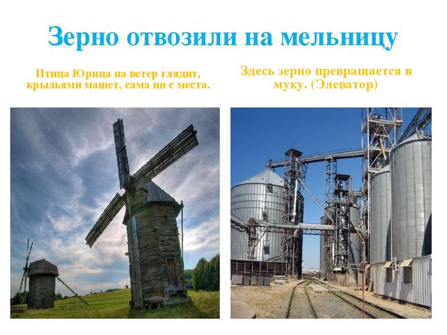 Презентация по дошкольному образованию на тему "Откуда хлеб пришел"