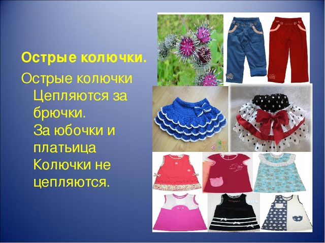 Презентация "Учим стихи по мнемотаблицам"