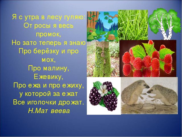 Презентация "Учим стихи по мнемотаблицам"