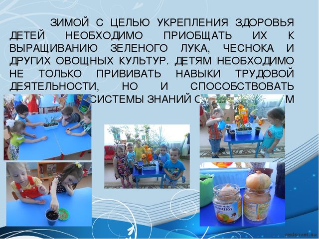 Презентация "Наблюдения и экспериментирование зимой"