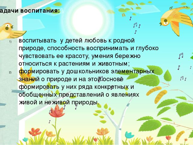 Презентации Тема Знакомство Дошкольников С Природой Беларуси