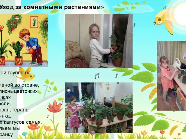 Презентация по экологическому воспитанию детей дошкольного возраста