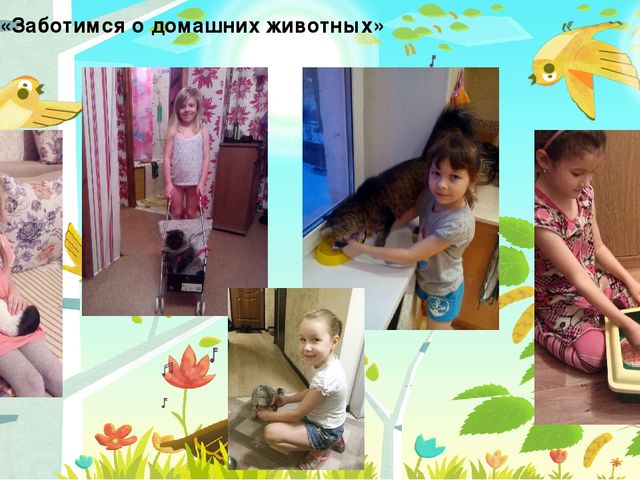 Презентация по экологическому воспитанию детей дошкольного возраста