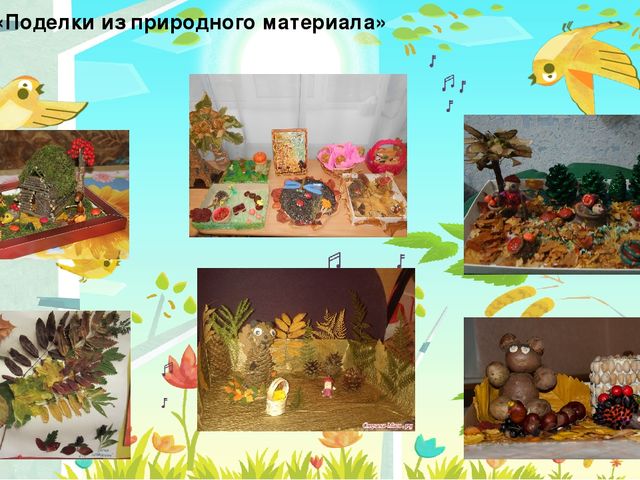 Презентация по экологическому воспитанию детей дошкольного возраста