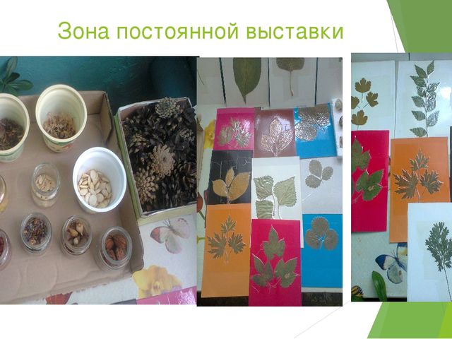 Презентация по опытно-экспериментальной деятельности в детском саду.
