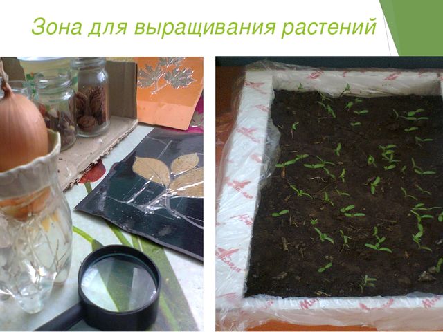 Презентация по опытно-экспериментальной деятельности в детском саду.