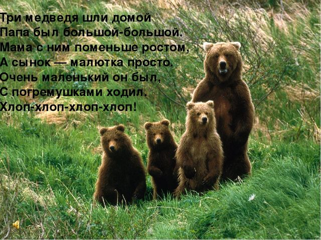 Презентация к открытому занятию на тему: Путешествие на Паровозике из Ромашково за букетом для мамы.