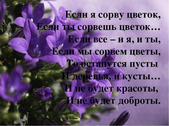 Презентация к открытому занятию на тему: Путешествие на Паровозике из Ромашково за букетом для мамы.